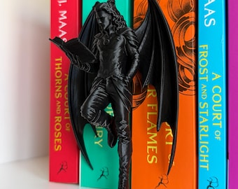 Inserto per libreria Cassian di ACOTAR, decorazione per angolo lettura Bat Boy, personaggio della Corte della Notte
