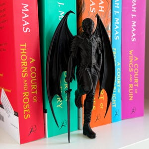 May include: A black figurine of a winged figure with a sword, leaning against a row of colorful books. The books have titles like "A Court of Thorns and Roses" and "A Court of Wings and Ruin."
