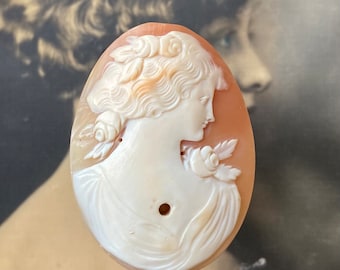 Lg Antique Shell Cameo Cabochon Italy Hand Carved Woman Profile