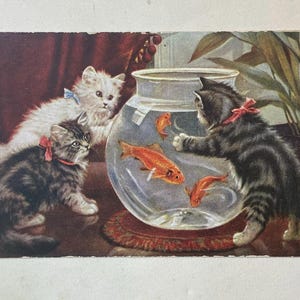 1 carte postale vintage Chats des années 1900, chatons et chatons