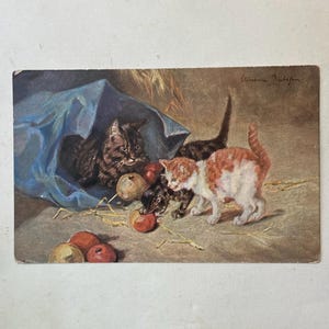 1 carte postale vintage Carte postale Chats 1900 H K et M série 293