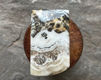 Dendritic Agate Cabochon Supply No Holes Asymmetrical