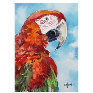 ACEO, See me Fly, Guacamayo, loro, acuarela, retrato en miniatura de mascota, pintura de acuarela para pared, id250311, no es una impresión