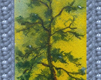 ACEO Original Art in Watercolors of a Treetop in Sun, Imagine Tree Climbing, Looking Up, Seeing The Top of the Tree and Smiling At the World