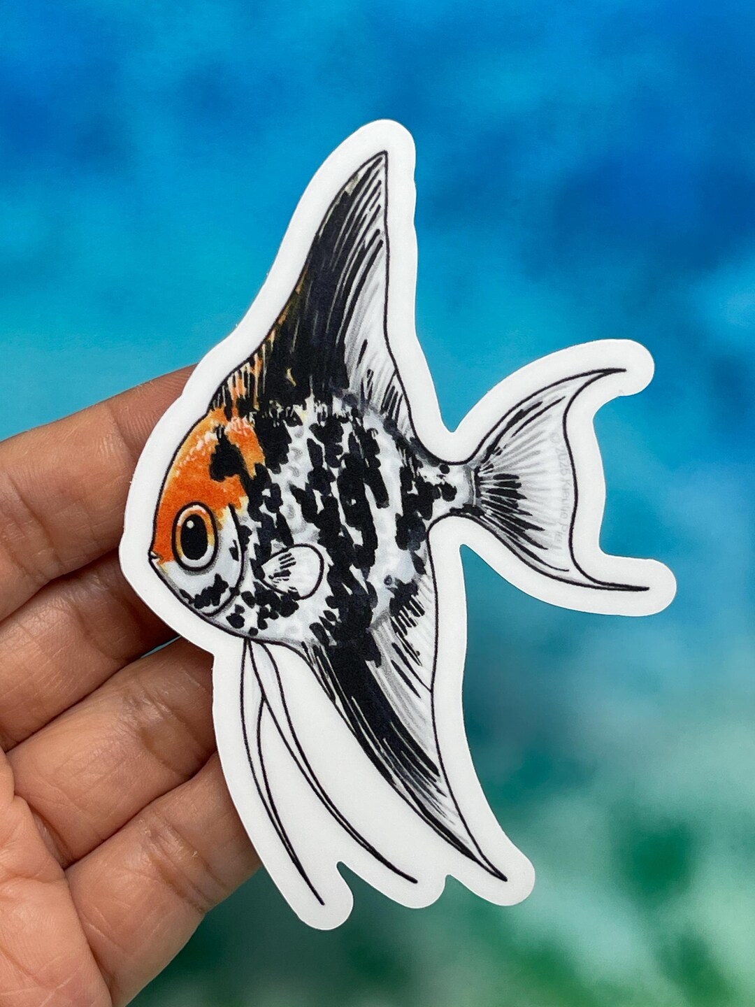 Calico Angelfish Vinyl Sticker - Weatherproof - Etsy