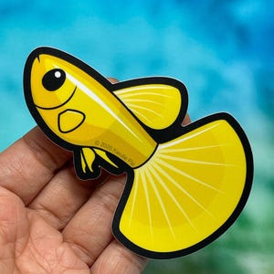 May include: A yellow fish sticker with a black outline. The sticker has a large, fan-shaped tail and a small, round eye. The text "© 2025 Kleutie Pie" is printed on the sticker.