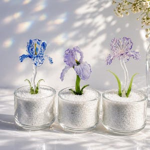Può includere: Tre fiori di iris in vetro in vasi di vetro trasparente riempiti di ciottoli bianchi. Gli iris sono blu, viola e lavanda, con steli e foglie verdi. I vasi sono disposti in fila, creando un'esposizione floreale decorativa.