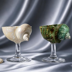 Könnte beinhalten: Zwei dekorative Kelche mit Schalen aus natürlichen Muscheln. Ein Kelch hat eine glatte, cremefarbene Muschelschale, während der andere eine strukturierte, grün und braun gemusterte Muschelschale aufweist. Beide stehen auf Stielen aus Klarglas.