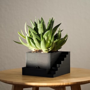 Könnte beinhalten: Ein schwarzer Pflanzentopf mit einem eingebauten Regal, auf dem eine Sukkulente mit grünen Blättern steht. Der Topf steht auf einem Holztisch.