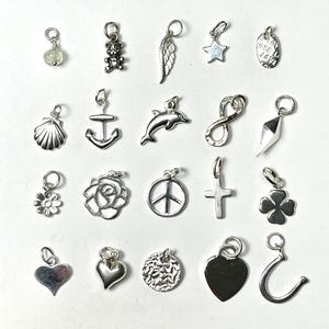 May include: A collection of silver charms, including a teddy bear, angel wing, star, seashell, anchor, dolphin, infinity symbol, flower, rose, peace sign, cross, clover, heart, and horseshoe. Each charm has a small loop for attaching to a bracelet or necklace.