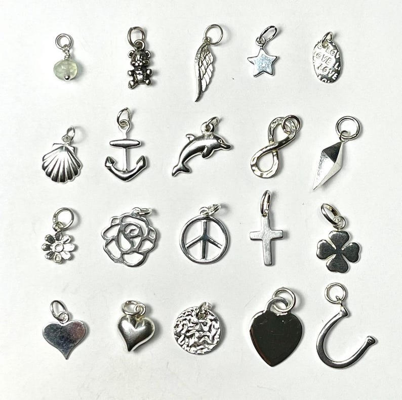 May include: A collection of silver charms, including a teddy bear, angel wing, star, seashell, anchor, dolphin, infinity symbol, flower, rose, peace sign, cross, clover, heart, and horseshoe. Each charm has a small loop for attaching to a bracelet or necklace.