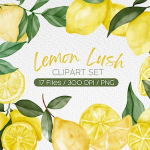 Lemon Lush, Lemon Digital Clipart, Water color,Lemon Elements, PNGs, Transparent Background, Instant Download, Commercial Use