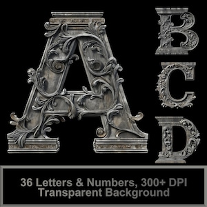 May include: Ornate silver-colored letters A, B, C, and D with intricate floral designs. The letters are set against a black background. 36 Letters & Numbers, 300+ DPI Transparent Background.