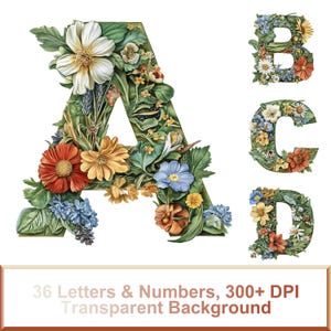 Alfabeto de jardín secreto PNG: 36 letras y números / Alta resolución, transparente, fuente de lujo, descarga digital, letras de ópalo, tipografía elegante