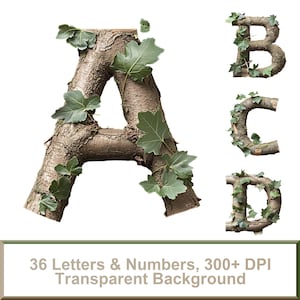 Alfabeto de ramas de árboles PNG – 36 letras y números / Alta resolución, transparente, fuente de madera rústica, descarga digital, letras de madera, alfabeto de la naturaleza