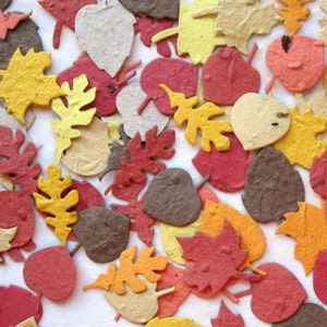 100 Blumensamen-Papier Konfetti Blätter - Herbst Farbmix