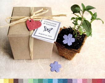 30 Flower Seed Paper Wedding Favors - Plantable Paper and Pots Seed Planter Favor Box Kit