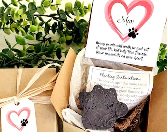 Coffret cadeau personnalisé pour la perte d'un animal de compagnie - Carte de sympathie pour animal de compagnie souvenir de pattes de graines à planter