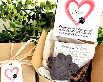 Personalized Pet Loss Gift Box - Pet Sympathy Card - Flower Seed Paper Plantable Paw with Flower Pot