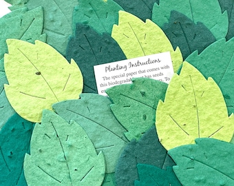 100 Seed Paper Leaves Weding Favor DIY Place Cards - Plantable Flower Seed Paper Leaf - Oak Birch Leaf Spring Garden Wedding Greenery