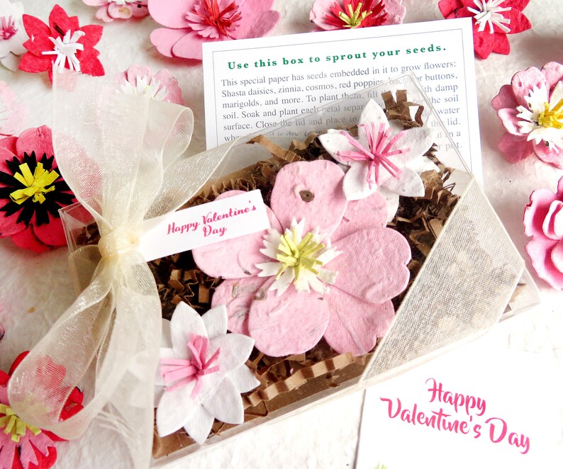 Rosa Samen Papier Blumen Muttertag GartenGeschenkBoxSet