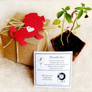 Kit confezione regalo Lions di carta da seme da fiore 20 - Bomboniere per feste di compleanno per animali selvatici - Bomboniere per zoo - Kit di piantagione con vasi
