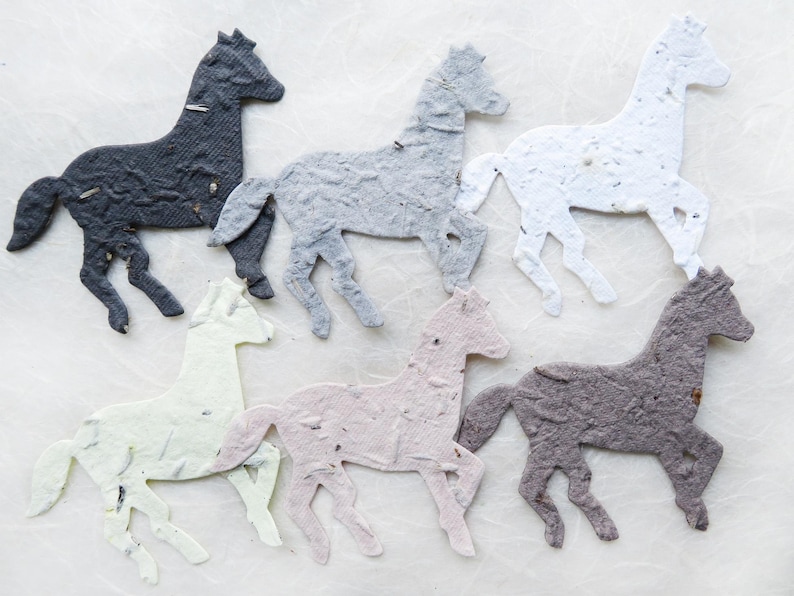 12 recuerdos de fiesta de cumpleaños de granja con macetas de papel para flores y semillas: cerdos, pollitos, ovejas, vacas, conejos, cabras y gallos. imagen 9