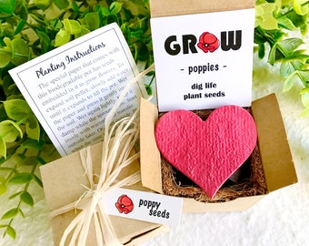 Poppy Flower Seed Paper Starter Kit with Pot - Garden Self Care Gift