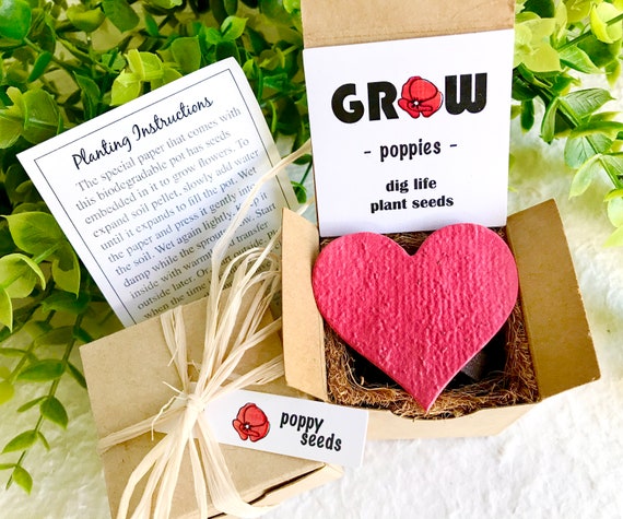 Poppy Flower Seed Paper Starter Kit With Pot - Garden Self Care Gift - Etsy