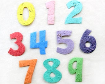 20 Rainbow Seed Paper Numbers - Birthday Party Favors - Cupcake Toppers Age - First Birthday