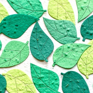 50+ Flower Seed Paper Leaves