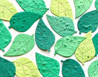 50+ Flower Seed Paper Leaves