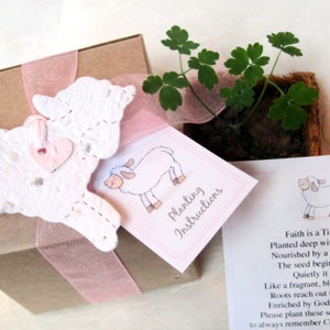 Peut inclure: Une bo&icirc;te cadeau avec un ruban rose et un agneau en crochet. La bo&icirc;te contient une petite plante en pot et une carte avec des instructions de plantation. La carte indique "La Terre est une petite graine plant&eacute;e au plus profond du sol. Nourrie par une pluie silencieuse. La graine commence &agrave; pousser. Tranquillement, elle s'ouvre. Comme une rose fragile qui fleurit. Un souffle de la gr&acirc;ce de Dieu dans notre monde. Veuillez planter ces graines avec amour. Veuillez vous souvenir du grand jour du Christ."