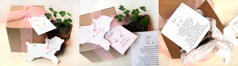 Peut inclure: Une bo&icirc;te cadeau avec un ruban rose et un agneau en crochet. La bo&icirc;te contient une petite plante en pot et une carte avec des instructions de plantation. La carte indique "La Terre est une petite graine plant&eacute;e au plus profond du sol. Nourrie par une pluie silencieuse. La graine commence &agrave; pousser. Tranquillement, elle s'ouvre. Comme une rose fragile qui fleurit. Un souffle de la gr&acirc;ce de Dieu dans notre monde. Veuillez planter ces graines avec amour. Veuillez vous souvenir du grand jour du Christ."