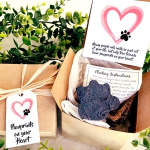 Personalized Pet Loss Gift Box Pet Sympathy Card Flower Seed Paper Plantable Paw with Flower Pot image 3