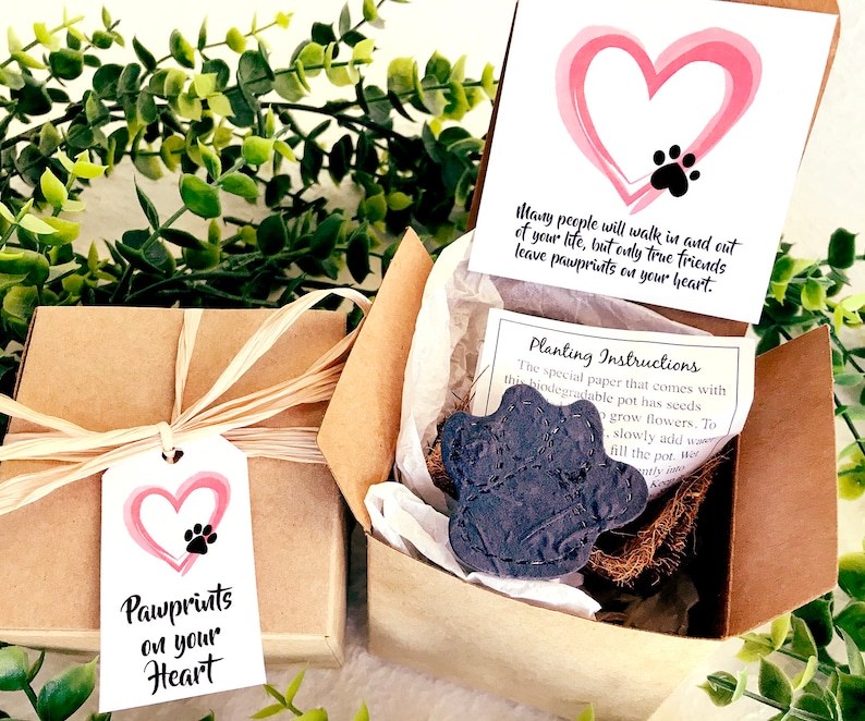 Personalized Pet Loss Gift Box Pet Sympathy Card Flower Seed Paper Plantable Paw with Flower Pot image 3