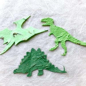 18 Dinosaur Seed Paper Birthday Party Favors Plantable Paper Triceratops Kids Dinosaur Party Favors image 8