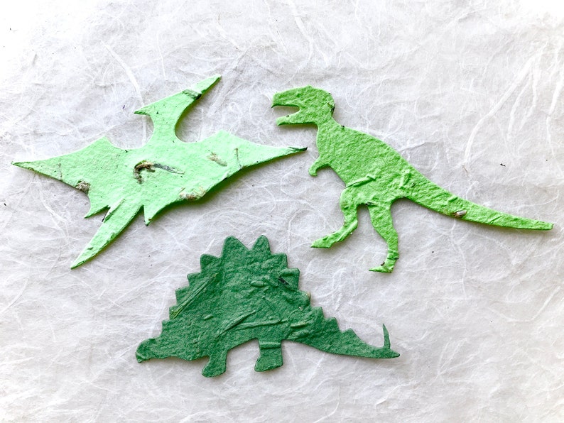 18 Dinosaur Seed Paper Birthday Party Favors Plantable Paper Triceratops Kids Dinosaur Party Favors image 8