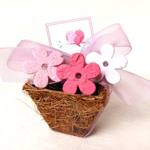 10 vasi da fiori piantabili - Garden Tea Party Spring Wedding Shower Seed Paper