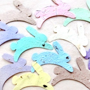 Más de 10 conejos de papel hechos con semillas de flores: obsequios de conejito para baby shower