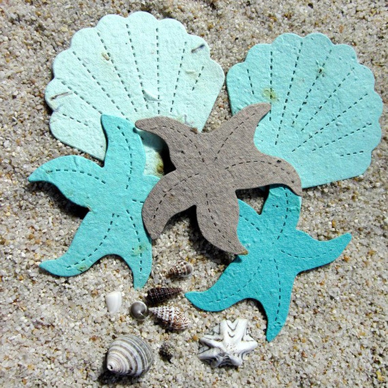 40 Flower Seed Paper Starfish Shells Beach Wedding Place Card Favors Tropical Destination Wedding Plantable image 1