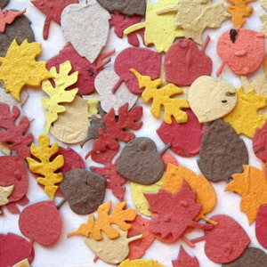 100 Flower Seed Paper Confetti Leaves image 7