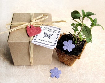 150 Seed Paper Wedding Favors - Plantable Pots and Seed Paper Hearts - Flower Seed Kit - Personalized