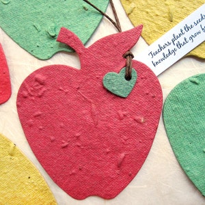 12 grandi mele di carta con semi - Regalo per la settimana di apprezzamento degli insegnanti - Semi di fiori piantabili - Gli insegnanti piantano i semi
