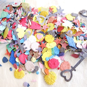 Coriandoli di carta con semi di fiori sfusi - Oltre 1.000 pezzi di carta piantabile - Educativo per bambini - Lancio di semi per matrimoni - Forniture fai da te