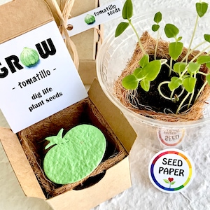 May include: A small cardboard box with a green paper seed packet inside. The box has a label that says "GROW - tomatillo - dig life plant seeds". The seed packet is shaped like a tomatillo and has the word "GROW" printed on it. The box is sitting on a white surface.