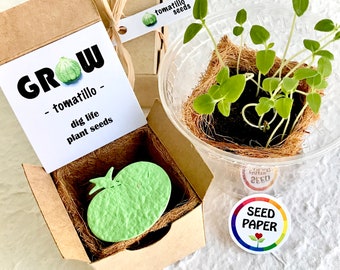 Tomatillo Seeds Paper Gardening Gift Box Kit with Pot - Homeschool Gardening - Peppers - Your choice seeds - Grow your own veggies