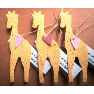 10 Flower Seed Paper Giraffes - Kids Birthday - Zoo Wedding - Personalized Cards Gift Box Option
