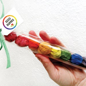 Pacote de presente de jardinagem Rainbow Flower Seed Bombs