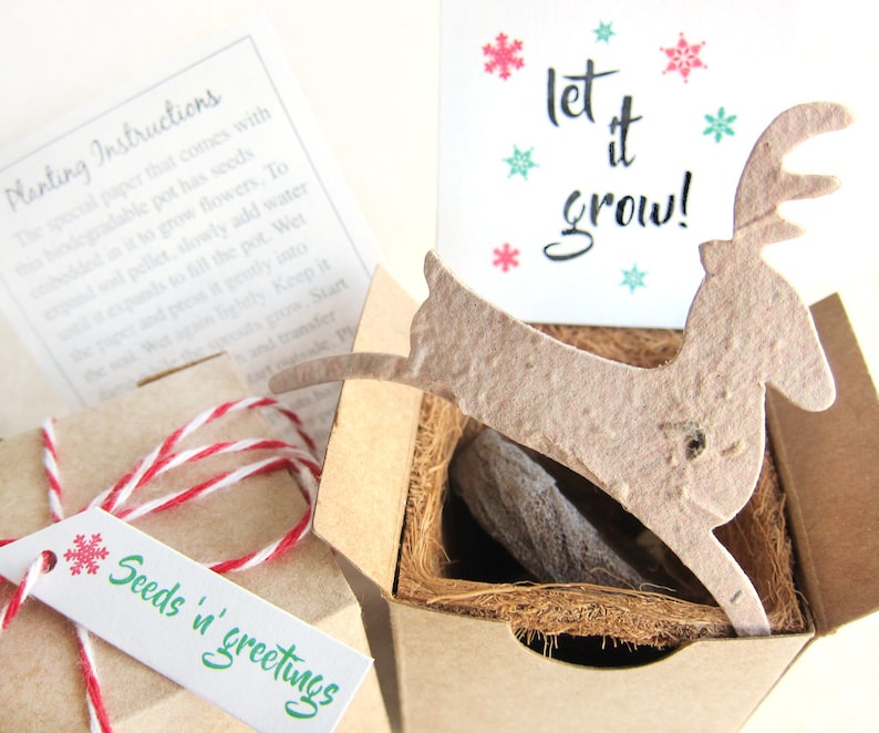 Seed Paper Christmas Tree Planting Kit With Flower Pot Etsy